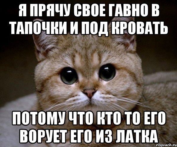 я прячу свое гавно в тапочки и под кровать потому что кто то его ворует его из латка, Мем Пидрила Ебаная