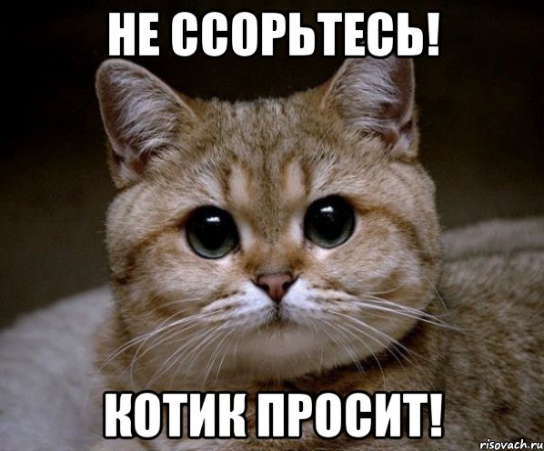 Не ссорьтесь! Котик просит!, Мем Пидрила Ебаная