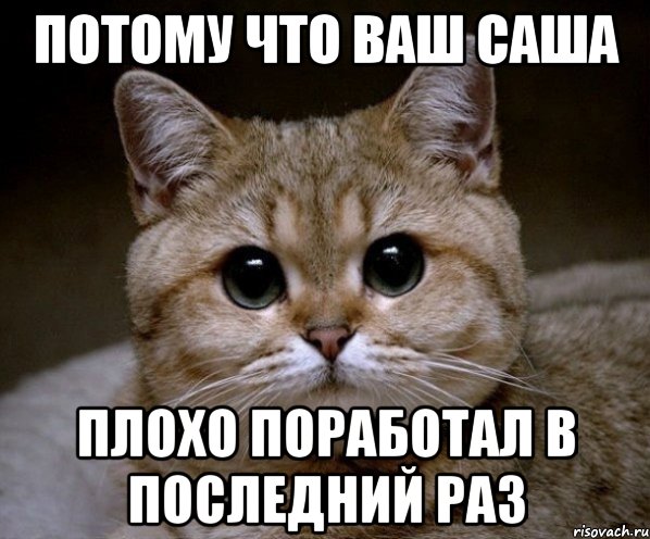 Потому что ваш Саша ПЛОХО ПОРАБОТАЛ В ПОСЛЕДНИЙ РАЗ, Мем Пидрила Ебаная