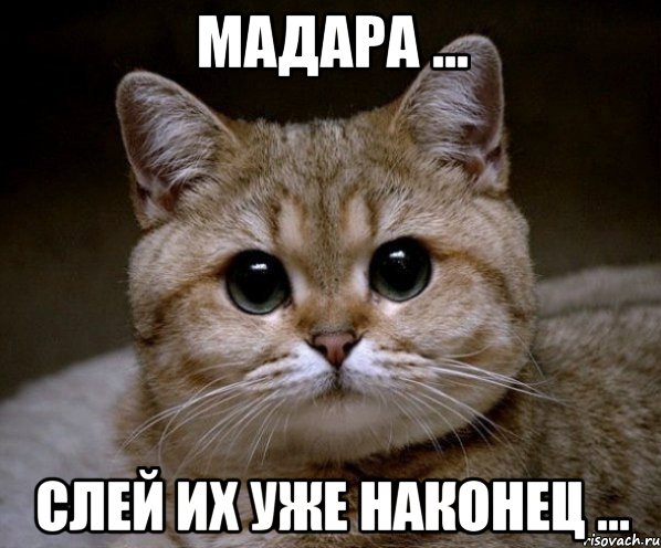 МАДАРА ... СЛЕЙ ИХ УЖЕ НАКОНЕЦ ..., Мем Пидрила Ебаная