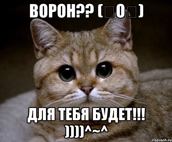 Ворон?? (⊙o⊙) для тебя будет!!! ))))^~^, Мем Пидрила Ебаная