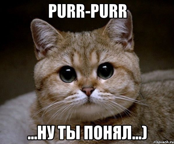 Purr-Purr ...ну ты понял...), Мем Пидрила Ебаная