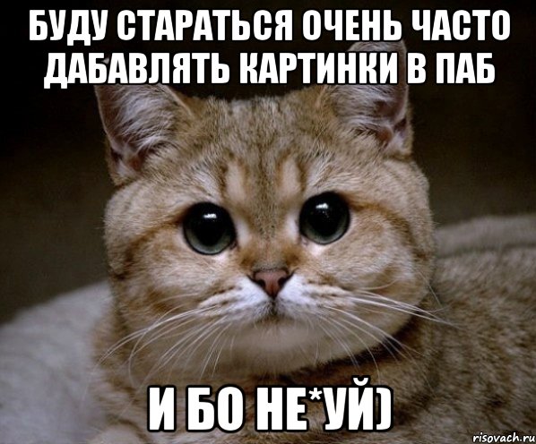 Буду стараться очень часто дабавлять картинки в паб И бо не*уй), Мем Пидрила Ебаная