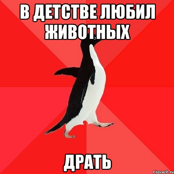 В детстве любил животных Драть, Мем  социально-агрессивный пингвин