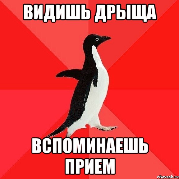 Видишь дрыща Вспоминаешь прием, Мем  социально-агрессивный пингвин