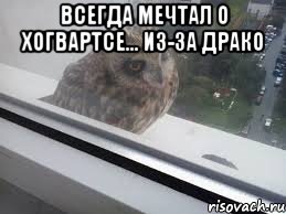 Всегда мечтал о Хогвартсе... Из-за Драко 