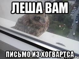 леша вам письмо из хогвартса