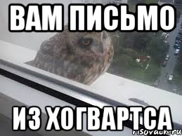 Вам письмо Из Хогвартса
