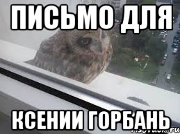 Письмо для Ксении Горбань