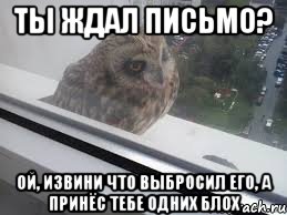 Ты ждал письмо? Ой, извини что выбросил его, а принёс тебе одних блох