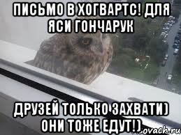Письмо в Хогвартс! Для Яси Гончарук Друзей только захвати) они тоже едут!)