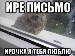 ире письмо ирочка я тебя люблю