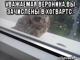 Уважаемая Вероника,вы зачислены в Хогвартс. 