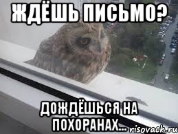 Ждёшь письмо? Дождёшься на похоранах...