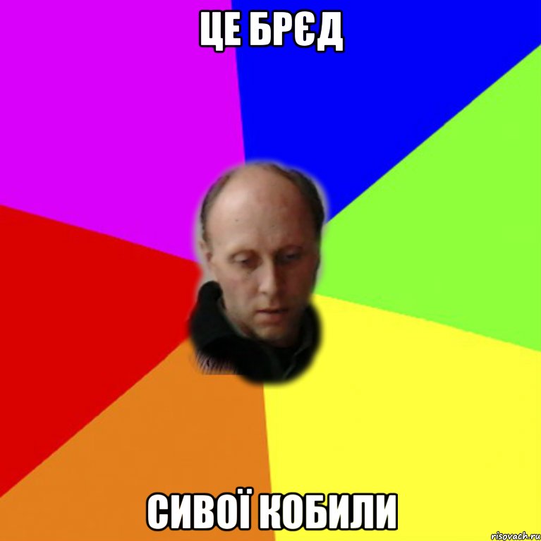 Це брєд сивої кобили