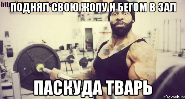 Поднял свою жопу и бегом в зал ПАСКУДА ТВАРЬ