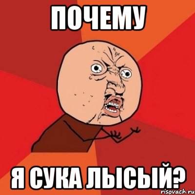 ПОЧЕМУ Я СУКА ЛЫСЫЙ?, Мем Почему