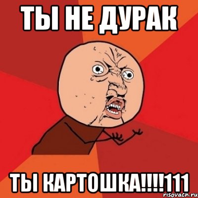 Ты не дурак ТЫ КАРТОШКА!!!!111, Мем Почему