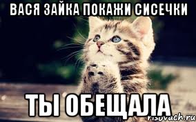 Вася зайка покажи сисечки ты обещала