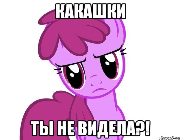 Какашки ты не видела?!, Мем пони