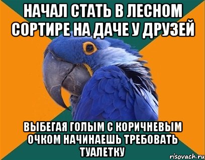 Начал стать в лесном сортире на даче у друзей Выбегая голым с коричневым очком начинаешь требовать туалетку, Мем Попугай параноик