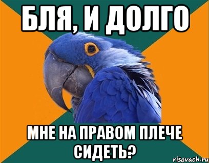 Бля, и долго Мне на правом плече сидеть?, Мем Попугай параноик