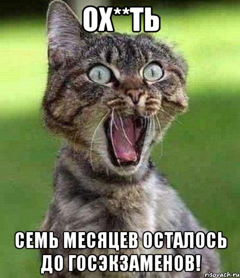 Ох**ть семь месяцев осталось до госэкзаменов!