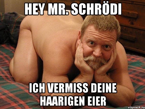 Hey Mr. Schrödi Ich vermiss deine haarigen Eier, Мем прив че делаешь