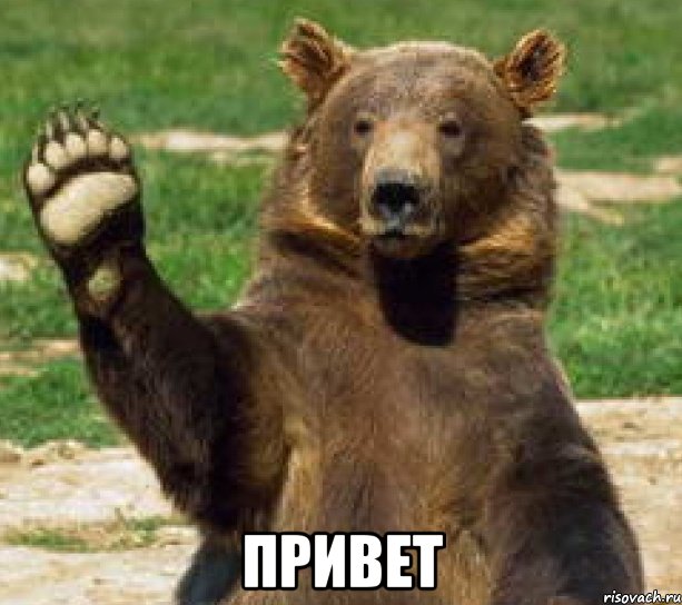  Привет, Мем прощайте