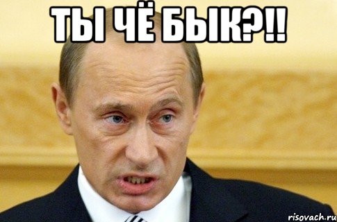 ты чё БЫК?!! , Мем путин