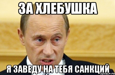 За хлебушка Я заведу на тебя санкций, Мем путин