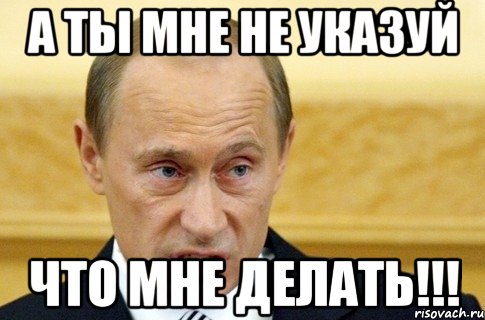 а ты мне не указуй что мне делать!!!, Мем путин