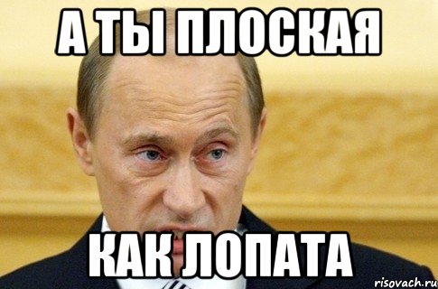 А ты плоская как лопата, Мем путин