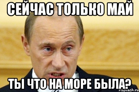 Сейчас только май ты что на море была?, Мем путин