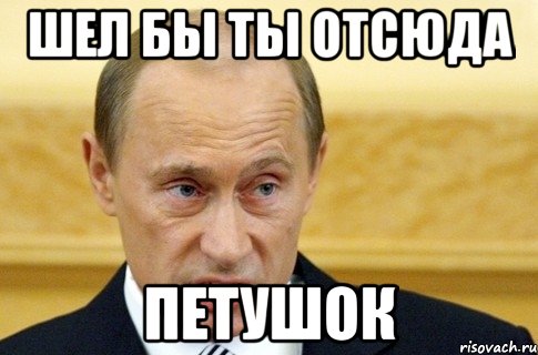 шел бы ты отсюда петушок, Мем путин