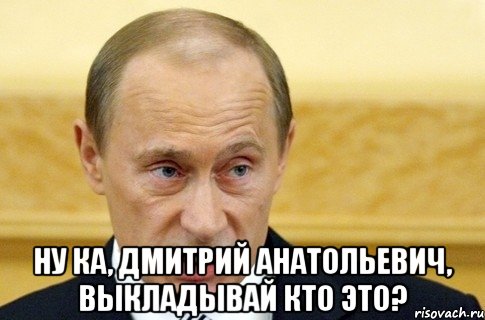  Ну ка, Дмитрий Анатольевич, выкладывай кто это?, Мем путин