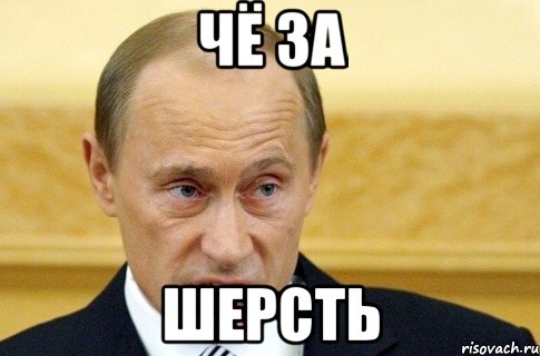 чё за шерсть, Мем путин