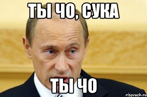 Ты чо, сука Ты чо, Мем путин