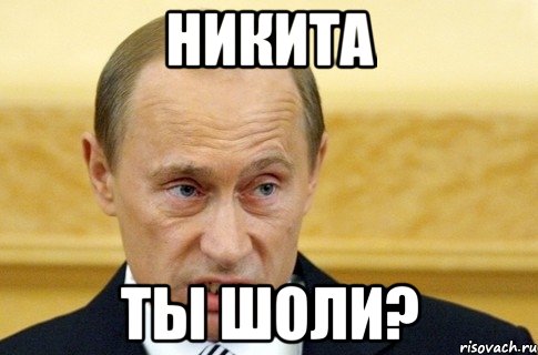 никита ты шоли?, Мем путин