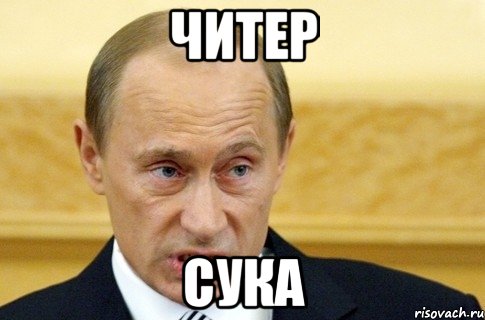 ЧИТЕР сука, Мем путин