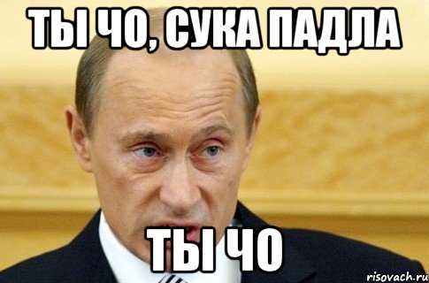 Ты чо, сука падла Ты чо, Мем путин