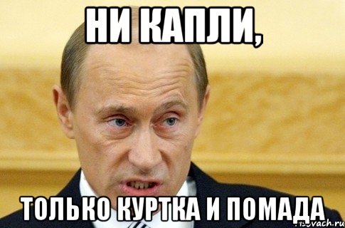 ни капли, только куртка и помада, Мем путин