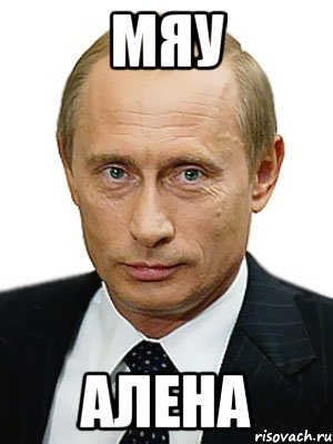 мяу алена, Мем Путин