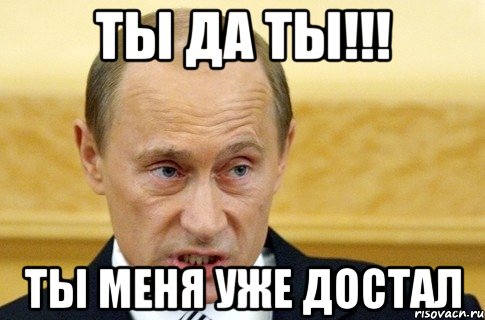 Ты да ты!!! Ты меня уже достал, Мем путин