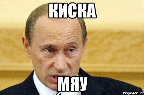 Киска Мяу, Мем путин