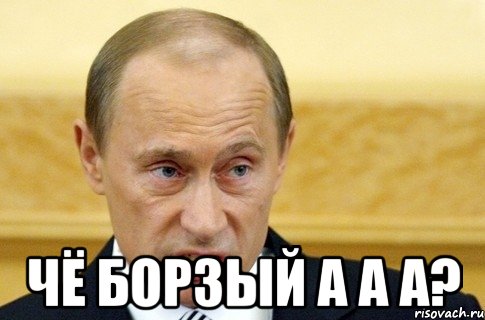  ЧЁ БОРЗЫЙ А А А?, Мем путин