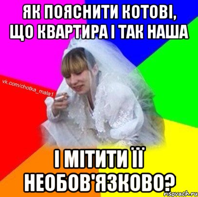 Як пояснити котові, що квартира і так наша і мітити її необов'язково?