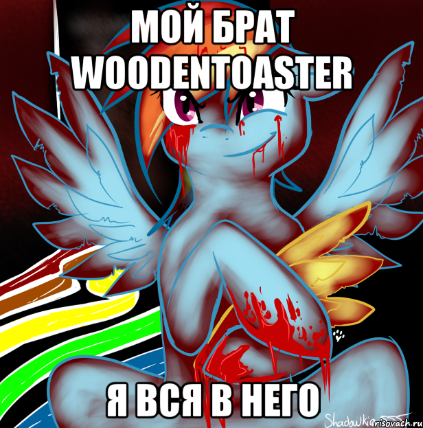 мой брат woodentoaster я вся в него, Мем RAINBOW FACTORY DASH