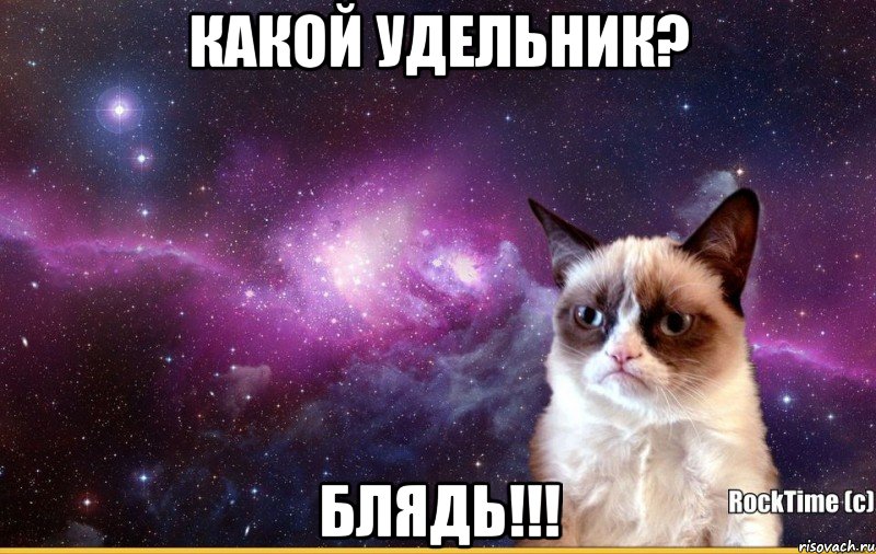 КАКой удельник? БЛЯДЬ!!!