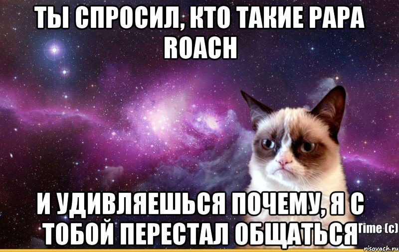 Ты спросил, кто такие papa roach и удивляешься почему, я с тобой перестал общаться